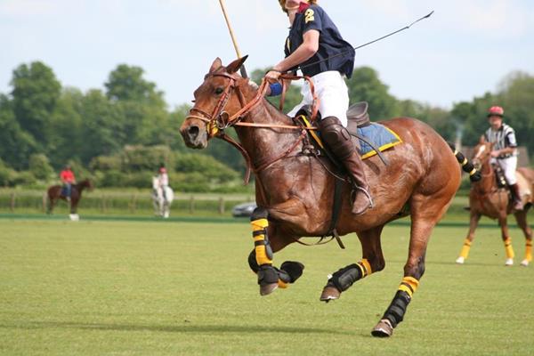 Tournoi de polo - de Juillet à Août