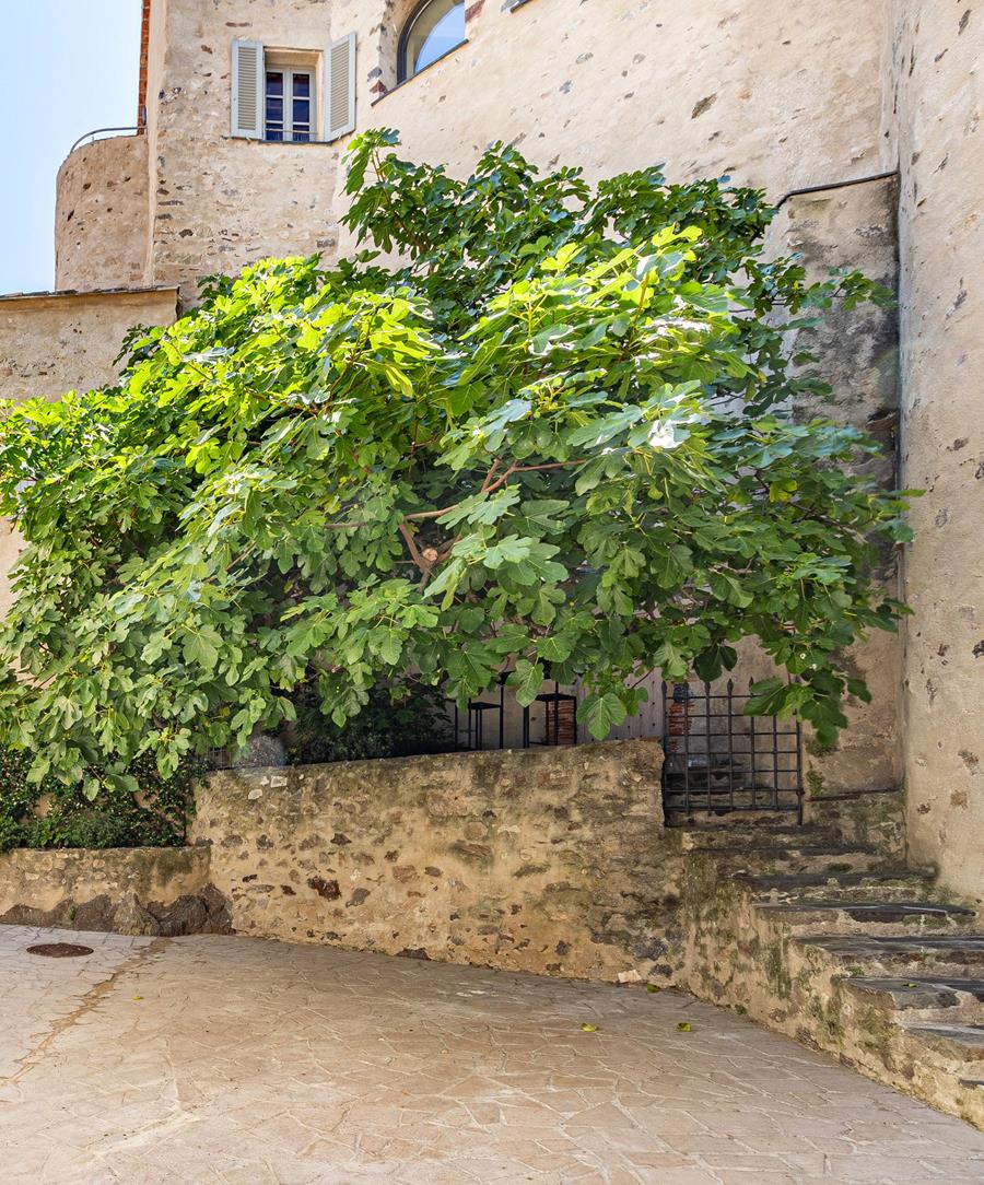 Maison de la Citadelle - Rental